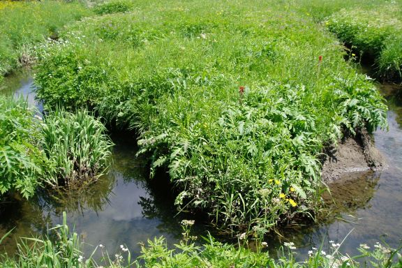 Barfussweg, Bizau Barfussweg, Bizau