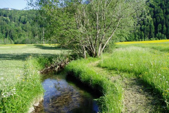 Barfussweg, Bizau Barfussweg, Bizau