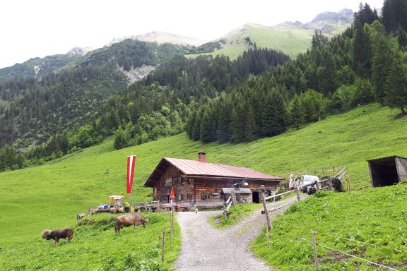 Alpe Genusswanderung Kleinwalsertal Alpe Genusswanderung Kleinwalsertal