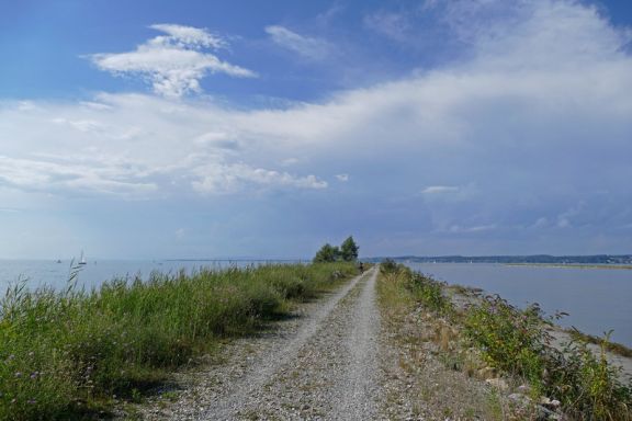 Birdwatching BirdsClub Rheindelta Birdwatching BirdsClub Rheindelta