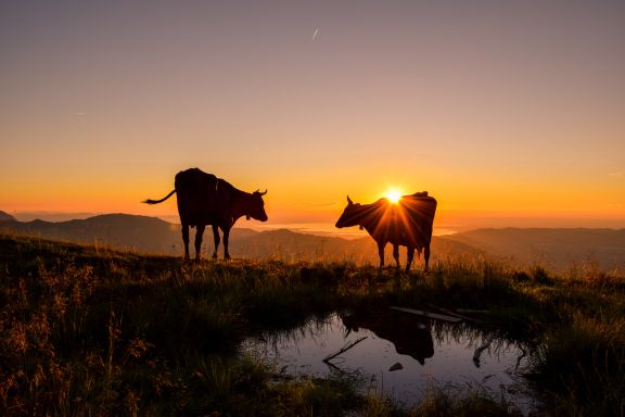 Sonnenaufgangswanderung Vordere Niedere Sonnenaufgangswanderung Vordere Niedere