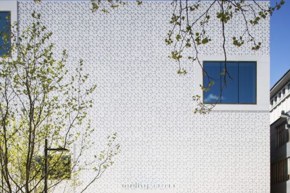 Architektur Fassade vorarlberg museum, Bregenz Architektur Fassade vorarlberg museum, Bregenz