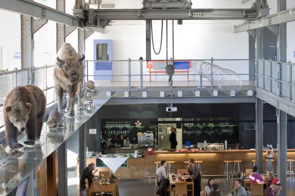 Foyer der inatura Erlebnisnaturschau in Dornbirn Foyer der inatura Erlebnisnaturschau in Dornbirn