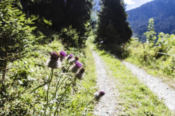 Energieweg Energieweg